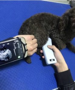 Portable Veterinary Ultrasound - W1/W2 - Image 5
