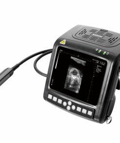 Portable Veterinary Ultrasound - Kaixin 5200V