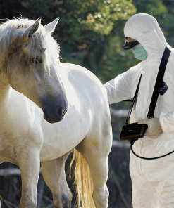 Portable Veterinary Ultrasound - Kaixin 5200V - Image 4