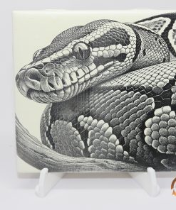 Ball Python 4"x4" Tile