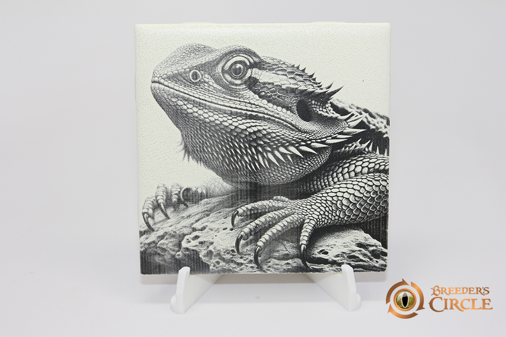 Bearded Dragon 4"x4" Tile