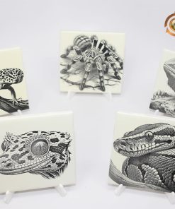 Reptile Set-of-5 4"x4" Tiles